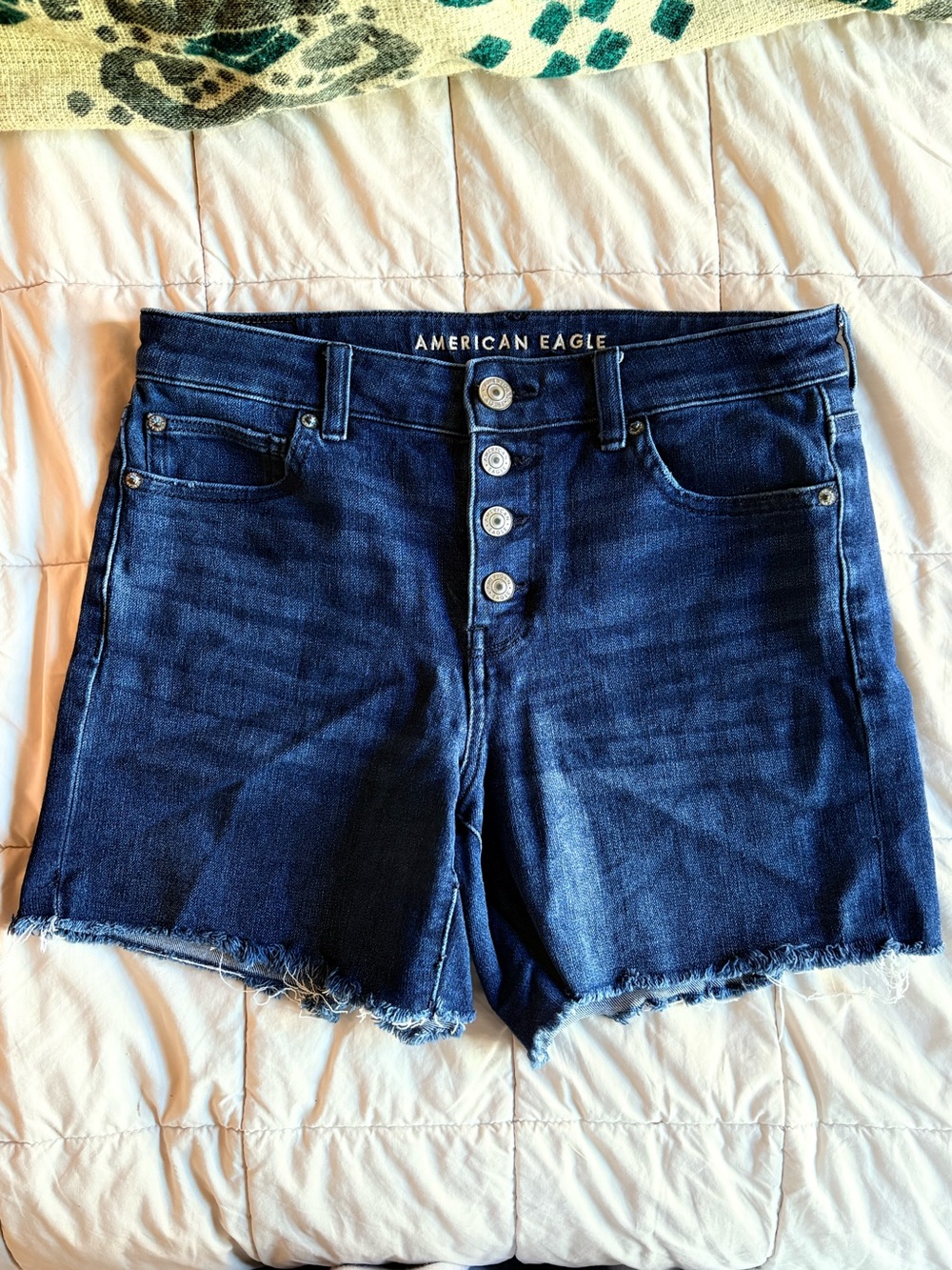 American Eagle Button Fly Denim Shorts